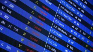 Gr&egrave;ve des contr&ocirc;leurs: des "dizaines de millions d'euros" en jeu, pr&eacute;vient ADP