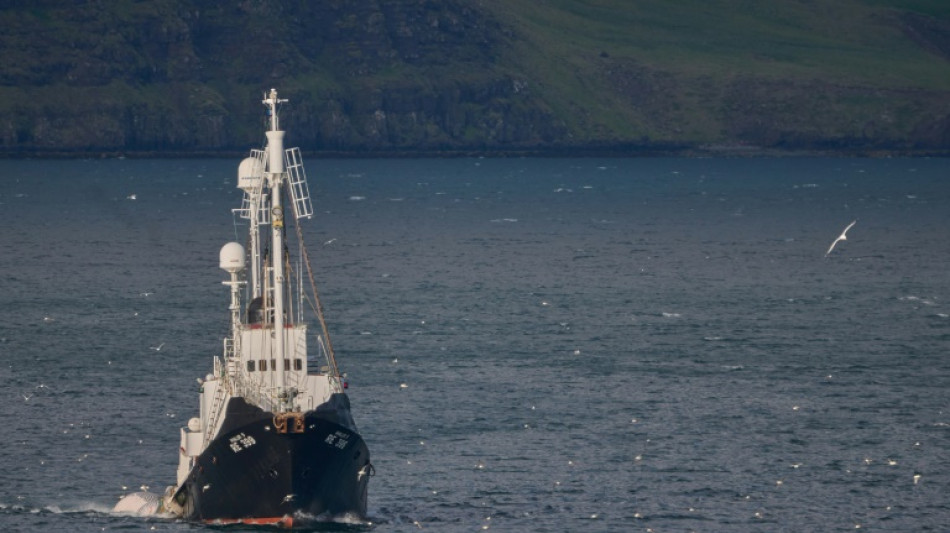 Suspenden la caza de ballenas en Islandia por segundo a&ntilde;o consecutivo