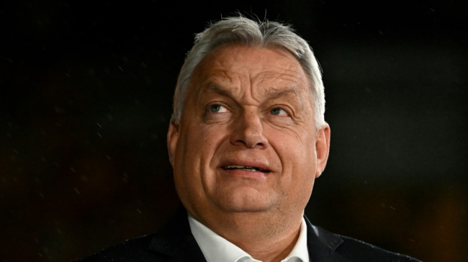 Hungria lan&ccedil;a nova consulta nacional anti-Uni&atilde;o Europeia