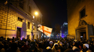 G&eacute;orgie: le pouvoir jure d'an&eacute;antir l'opposition, la taxant de "lib&eacute;ralo-fascisme"