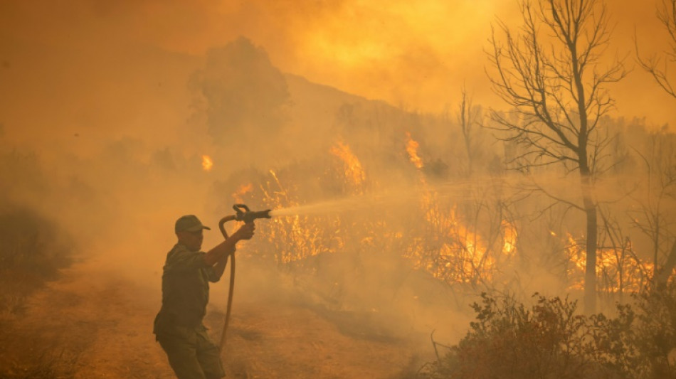 Maroc: trois pompiers meurent dans un feu de for&ecirc;t pr&eacute;sum&eacute; criminel