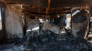 Chile police arrest third suspect in wildfire-ravaged south