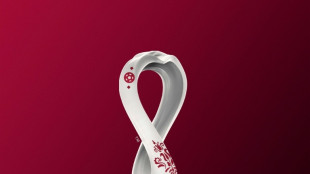 Ukraine/Foot: la Fifa en "discussions avanc&eacute;es" pour exclure la Russie du Mondial (source)