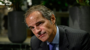 Chefe nuclear da ONU insta Ir&atilde; a permitir trabalho de inspetores no pa&iacute;s