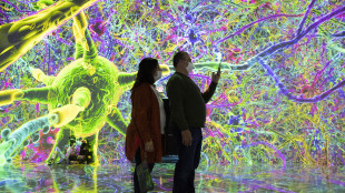 Trovata la bussola del cervello umano, punta sempre a Nord