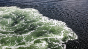 EU beschlie&szlig;t 15. Sanktionspaket gegen Russland