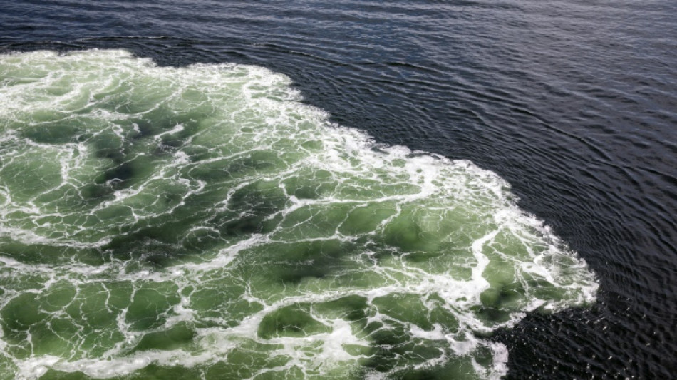 Greenpeace: Russische &Ouml;lexporte mit veralteten Tankern gef&auml;hrden Ostseek&uuml;ste