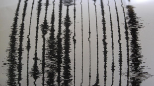 Ai Campi Flegrei la sismicità si sta concentrando in un'area