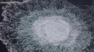 La fuga de gas de Nord Stream tiene impacto limitado en el clima, seg&uacute;n expertos