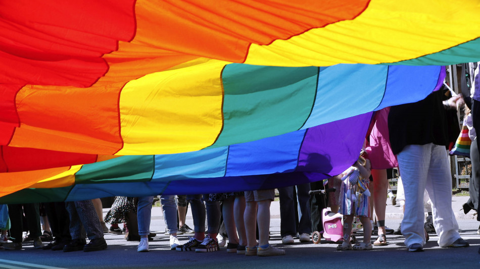 Consiglio d'Europa, l'Ungheria non limiti i diritti Lgbti