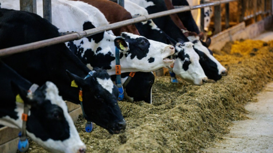 Milcherzeuger-Verband: Butter k&ouml;nnte bis Weihnachten so teuer werden wie nie zuvor