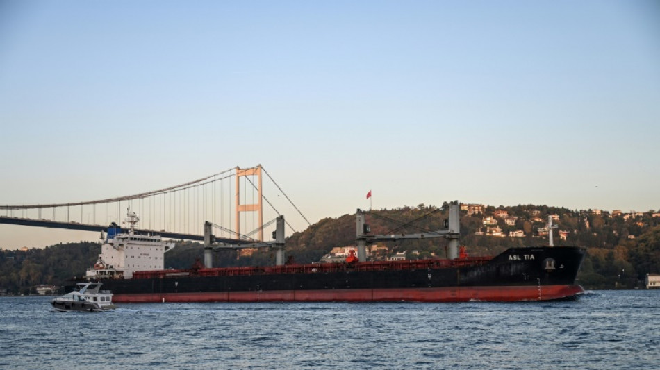 Sept cargos c&eacute;r&eacute;aliers quittent les ports ukrainiens apr&egrave;s une volte-face de la Russie