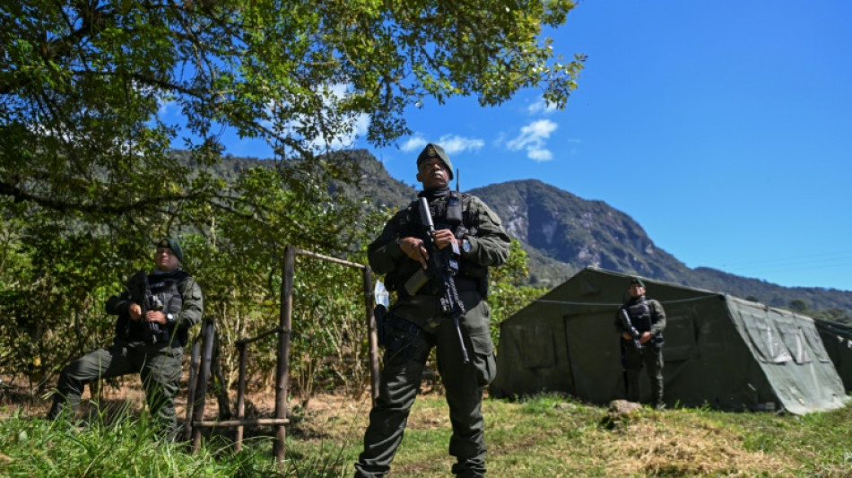 'Fracasso' da paz na Col&ocirc;mbia aumenta desmatamento (ONG)