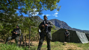 Desmatamento na Col&ocirc;mbia aumenta com 'fracasso' das negocia&ccedil;&otilde;es com dissid&ecirc;ncias das Farc, diz ONG