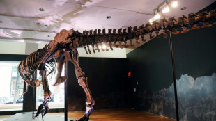 Christie's no subastar&aacute; un esqueleto de Tyrannosaurus rex en Hong Kong