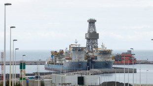 Ilhas Can&aacute;rias em alerta com chegada de navio com surto de hantav&iacute;rus