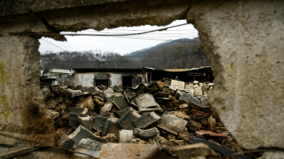 Chuva ajuda Coreia do Sul a combater incêndios mais graves da história do país