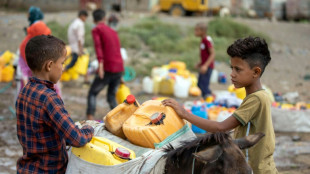 Regiones enteras se volver&aacute;n inhabitables por las olas de calor en las pr&oacute;ximas d&eacute;cadas