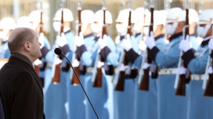 Jefe de Gobierno alem&aacute;n y presidente turco reiteran necesidad de alto el fuego en Ucrania 