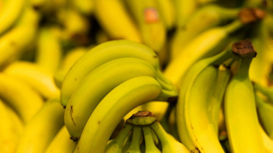 Les producteurs de bananes antillais alertent sur une "crise existentielle" de la fili&egrave;re