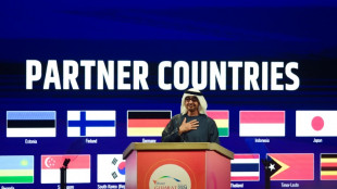 Emirados &Aacute;rabes Unidos s&atilde;o processados nos EUA por &lsquo;obscura&rsquo; campanha caluniosa