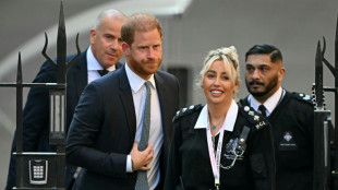 Le prince Harry devant la Cour d'appel &agrave; Londres pour tenter de r&eacute;cup&eacute;rer sa protection polici&egrave;re