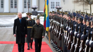 Zelensky r&eacute;clame plus de munitions antia&eacute;riennes face aux frappes russes