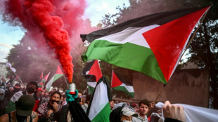 Pro-pal&auml;stinensische Proteste am Rande des ESC-Finales im Baseler Stadtzentrum