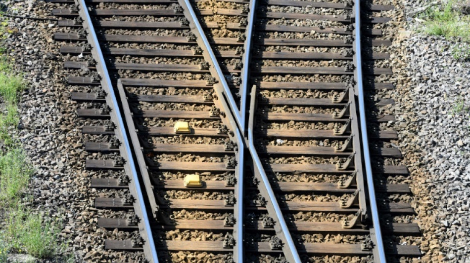 "SZ": Gr&uuml;nen-Fraktion beschlie&szlig;t Reformpapier zur Deutschen Bahn