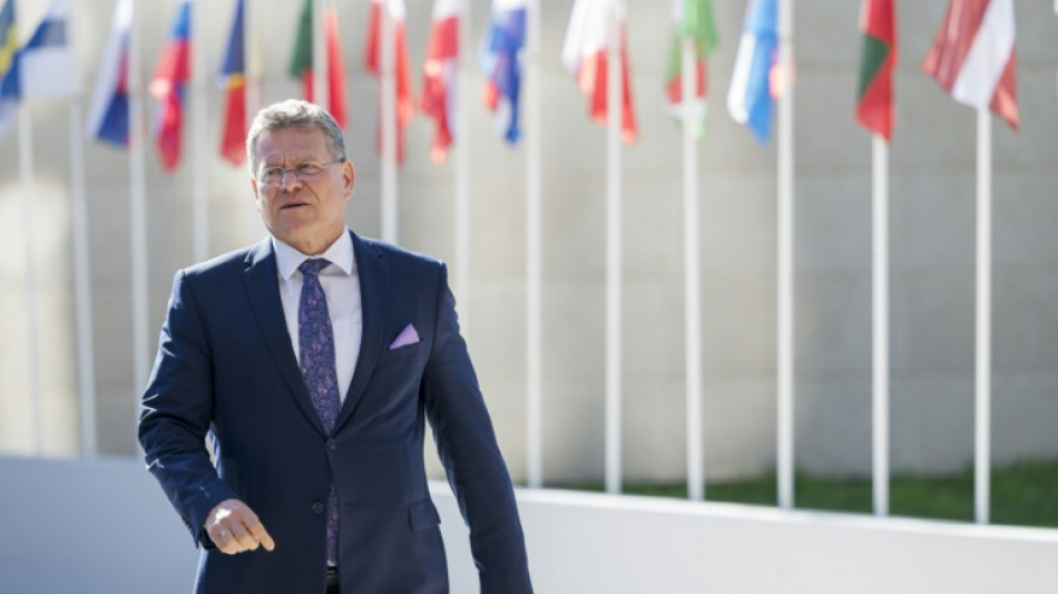 Facing Trump's trade war, EU seeks to quell divisions