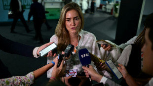 El incendio en el suroeste de Espa&ntilde;a sigue activo, pero las autoridades son "m&aacute;s optimistas"