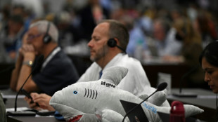 La lucha contra el tr&aacute;fico de especies salvajes debe pasar por el comercio en l&iacute;nea