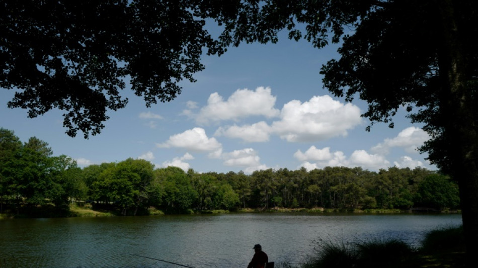 Une plateforme de location d'&eacute;tangs pour les mordus de poisson
