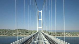 Ue, 'decide l'Italia se Ponte di Messina &egrave; opera militare'