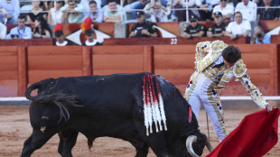 Solo 6% degli spagnoli ha assistito a corride nell'ultimo anno