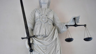 F&eacute;minicide en Alsace: l'accus&eacute; condamn&eacute; &agrave; 29 ans de r&eacute;clusion