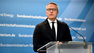 Ein Jahr Digitalministerium: Wildberger verspricht "Staat, der besser liefert"