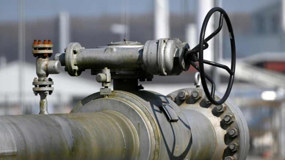 Einfuhrstopp f&uuml;r russisches Gas bleibt umstritten