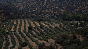 La UE aprueba los planes agr&iacute;colas estrat&eacute;gicos de siete pa&iacute;ses, incluidos Espa&ntilde;a y Portugal