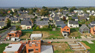 Grand r&ecirc;ve des Fran&ccedil;ais, la maison individuelle au pied du mur