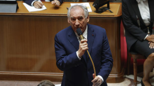 Cade il governo Bayrou,Assembl&eacute;e Nationale nega la fiducia