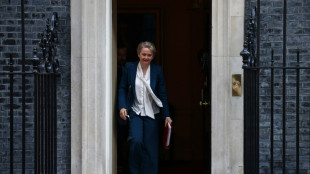 London will verst&auml;rkt Straft&auml;ter abschieben und weniger Arbeitsvisa vergeben