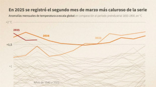 La temperatura mundial llega cerca de las altas hist&oacute;ricas en marzo