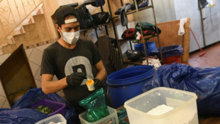 Aromatis&eacute;e, la feuille de coca mill&eacute;naire se met au go&ucirc;t du jour