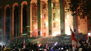 Mobiliza&ccedil;&atilde;o pr&oacute;-UE na Ge&oacute;rgia n&atilde;o d&aacute; sinais de interrup&ccedil;&atilde;o, afirma presidente