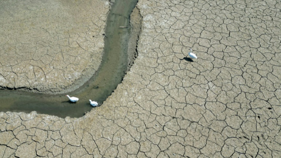 Nouveau record de s&eacute;cheresse en Europe et sur le pourtour m&eacute;diterran&eacute;en en mai