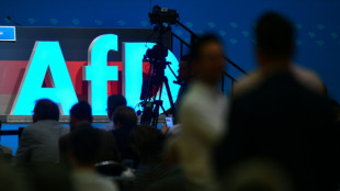 OB-Wahl in Ludwigshafen: Abgelehnter AfD-Kandidat scheitert mit Eilantrag