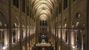 Venerd&igrave; messa solenne a Notre-Dame per papa Francesco