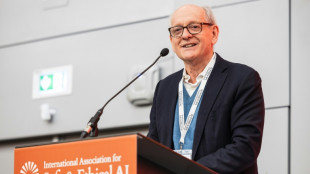 IA: sans "garanties en b&eacute;ton", on court droit "au d&eacute;sastre", selon un expert 