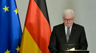 Steinmeier ruft zu Solidarit&auml;tsaktionen f&uuml;r Ukraine auf